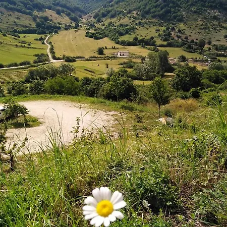 Podere Al Sole Bauernhof *