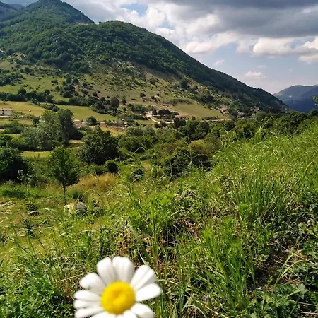 Podere Al Sole Bauernhof *