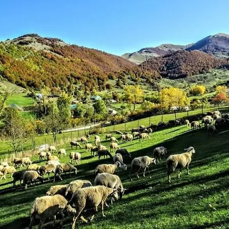 Podere Al Sole Farm stay *