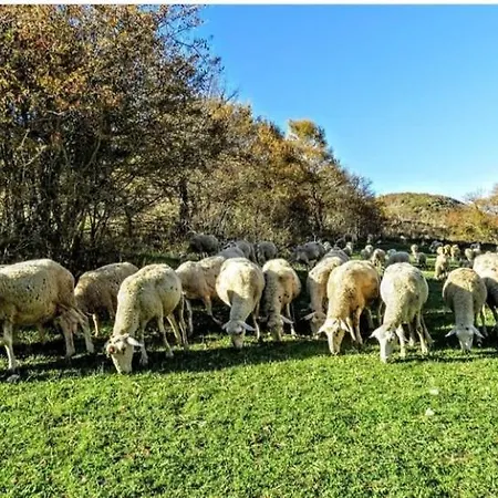 Bauernhof Podere Al Sole