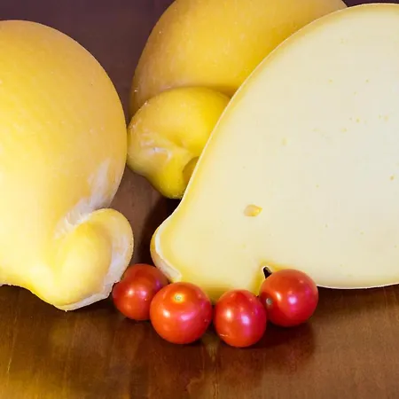 Farm stay Podere Al Sole Scanno