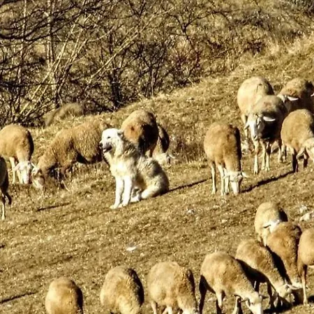 Podere Al Sole Farm stay Scanno