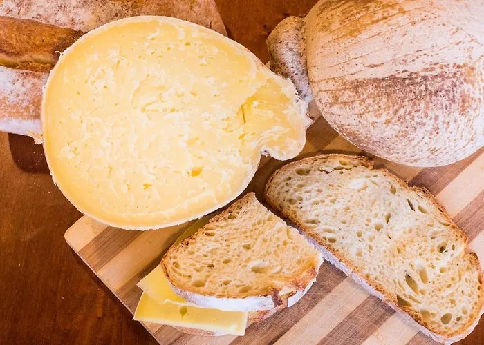 팜스테이 Podere Al Sole 스칸노