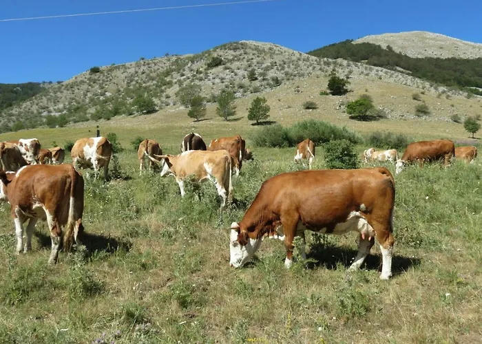 Podere Al Sole Farmház Scanno