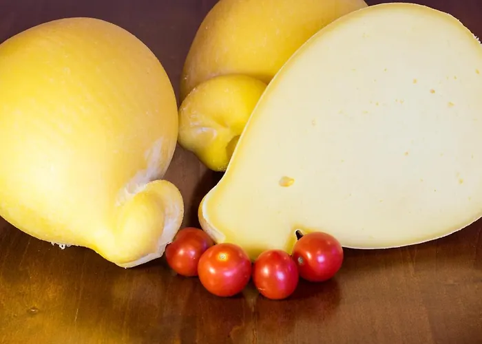 팜스테이 Podere Al Sole 스칸노