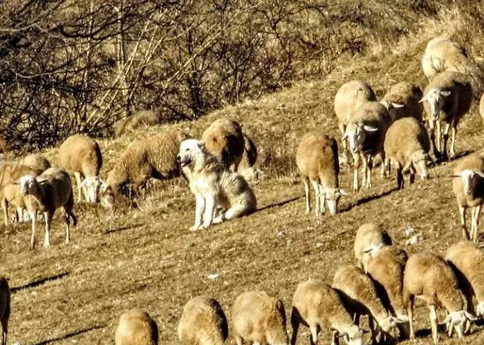 Podere Al Sole Farmház Scanno